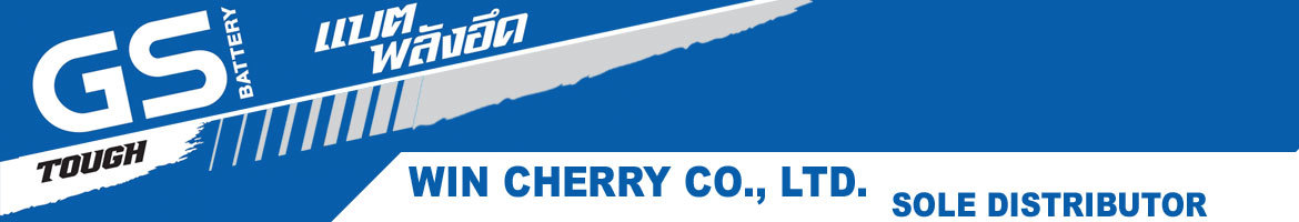 GS Battery