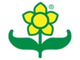 Yangondirectory