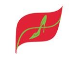Yangondirectory