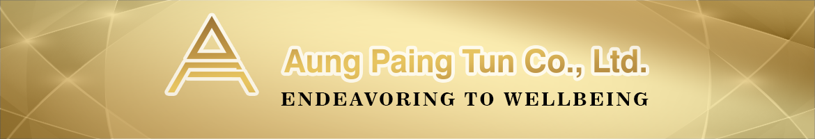 Aung Paing Tun