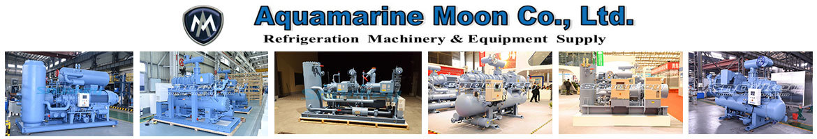 Aquamarine Moon Co., Ltd.