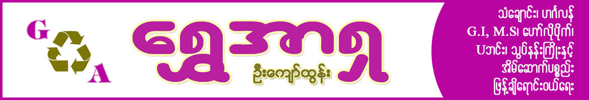 Shwe Asia