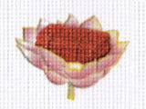 Aung Sakkyar Lotus Robe