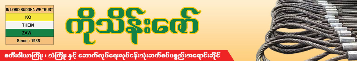 Ko Theins Zaw