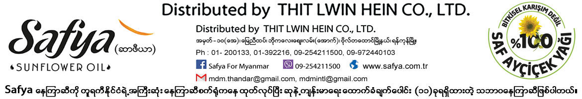 Thit Lwin Hein Co., Ltd.