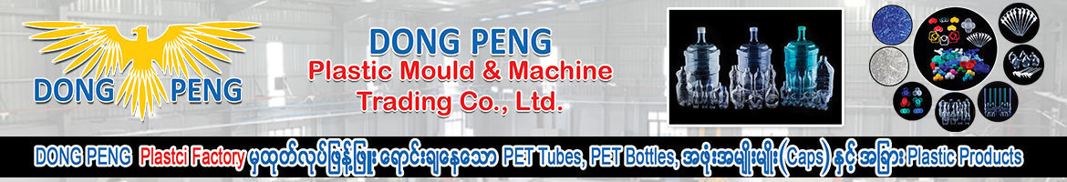 Dongpeng Plastic Manufacturing Mould and Machine Co., Ltd.