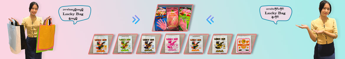 Lucky Bag & Swallow