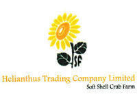 Helianthus Trading Co.,Ltd.