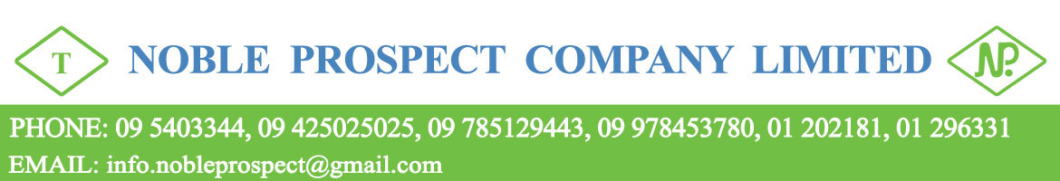 Noble Prospect Co., Ltd.
