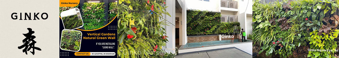 Ginko Nursery Co., Ltd.