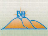 Bright High Services and Trading Co., Ltd.