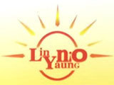 Lin Yaung Ni Oo