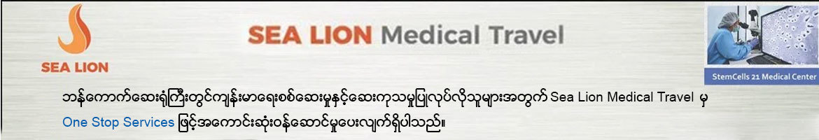 Bangkok Hospital (Sea Lion Medical Travel)