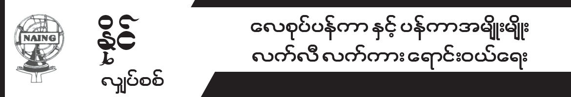Naing Electric