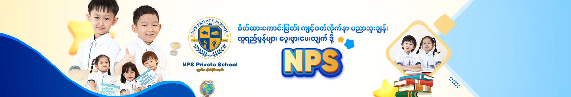 NPS Private School